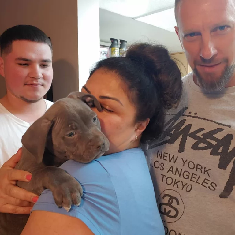 New Puppy goes to a good home